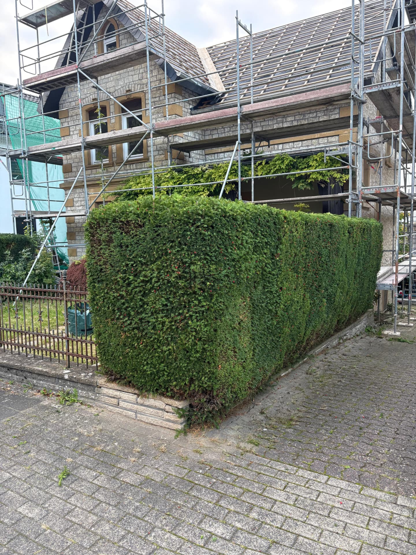 Von uns geschnittene Hecke