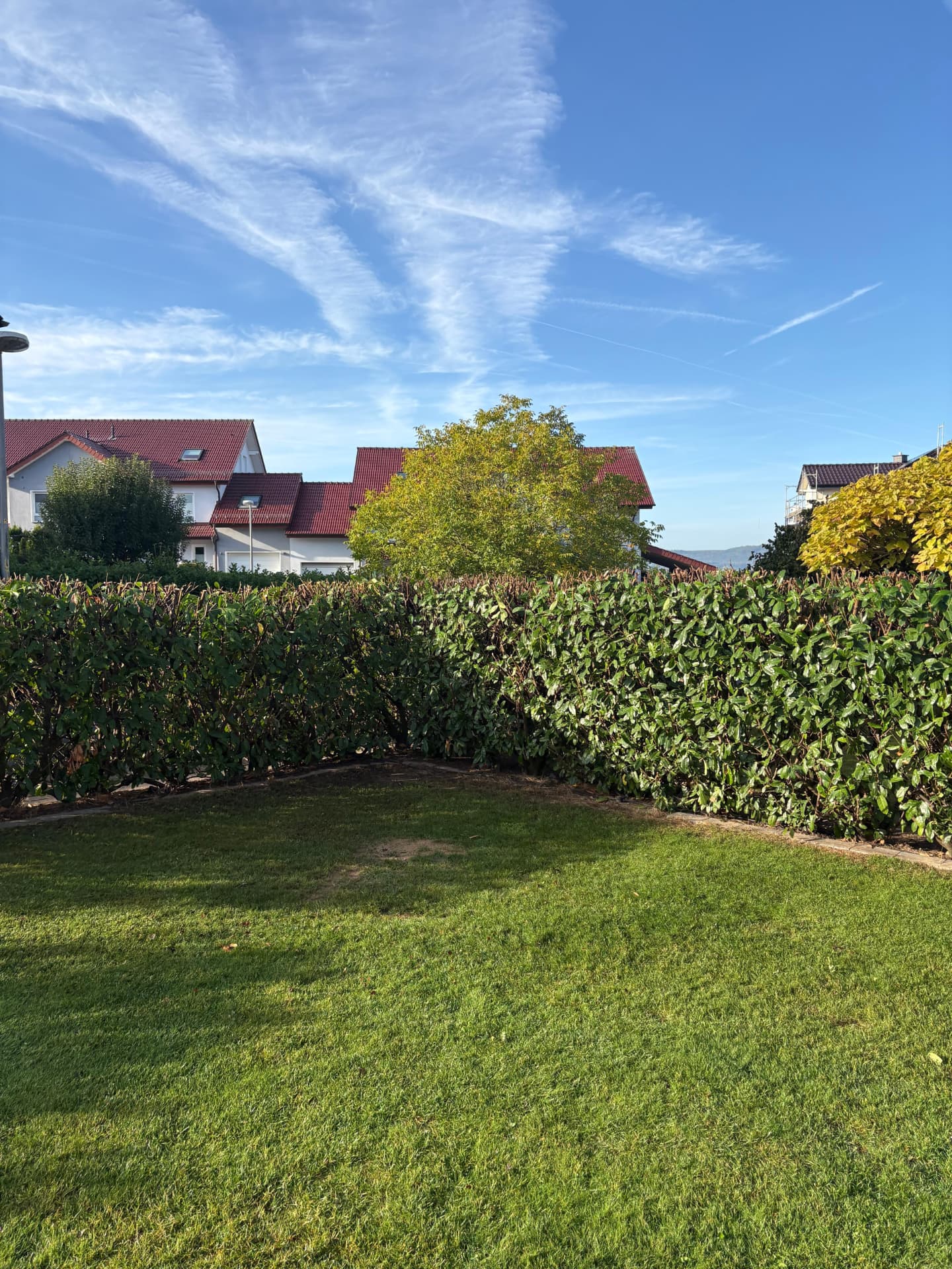 Von uns geschnittene Hecke