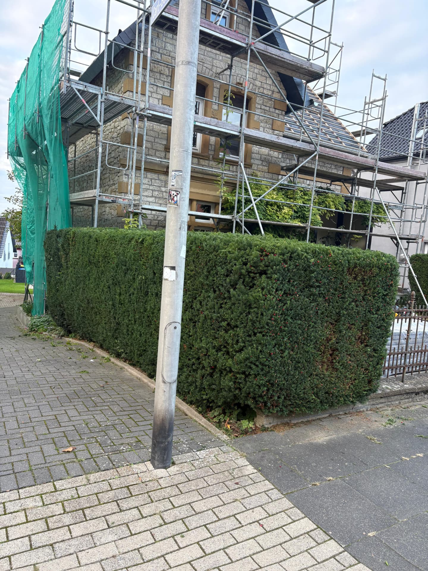 Von uns geschnittene Hecke